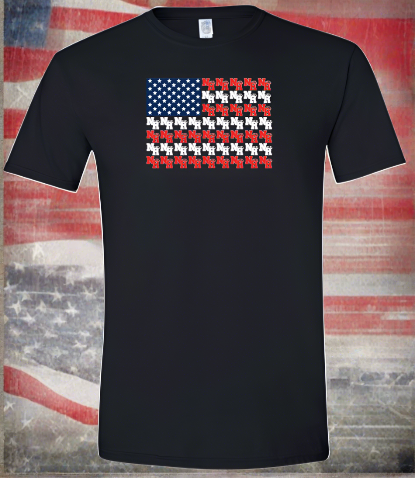 NR American Softstyle® T-Shirt